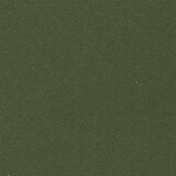 17 Verde militare