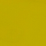 62 Giallo curry