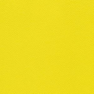 Pelle SC 140 Mimosa