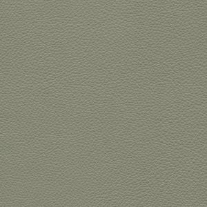 Pelle SC 173 Glauco