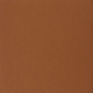 C01-009