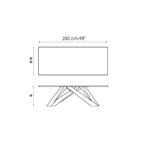 250×100 cm H. 75 cm