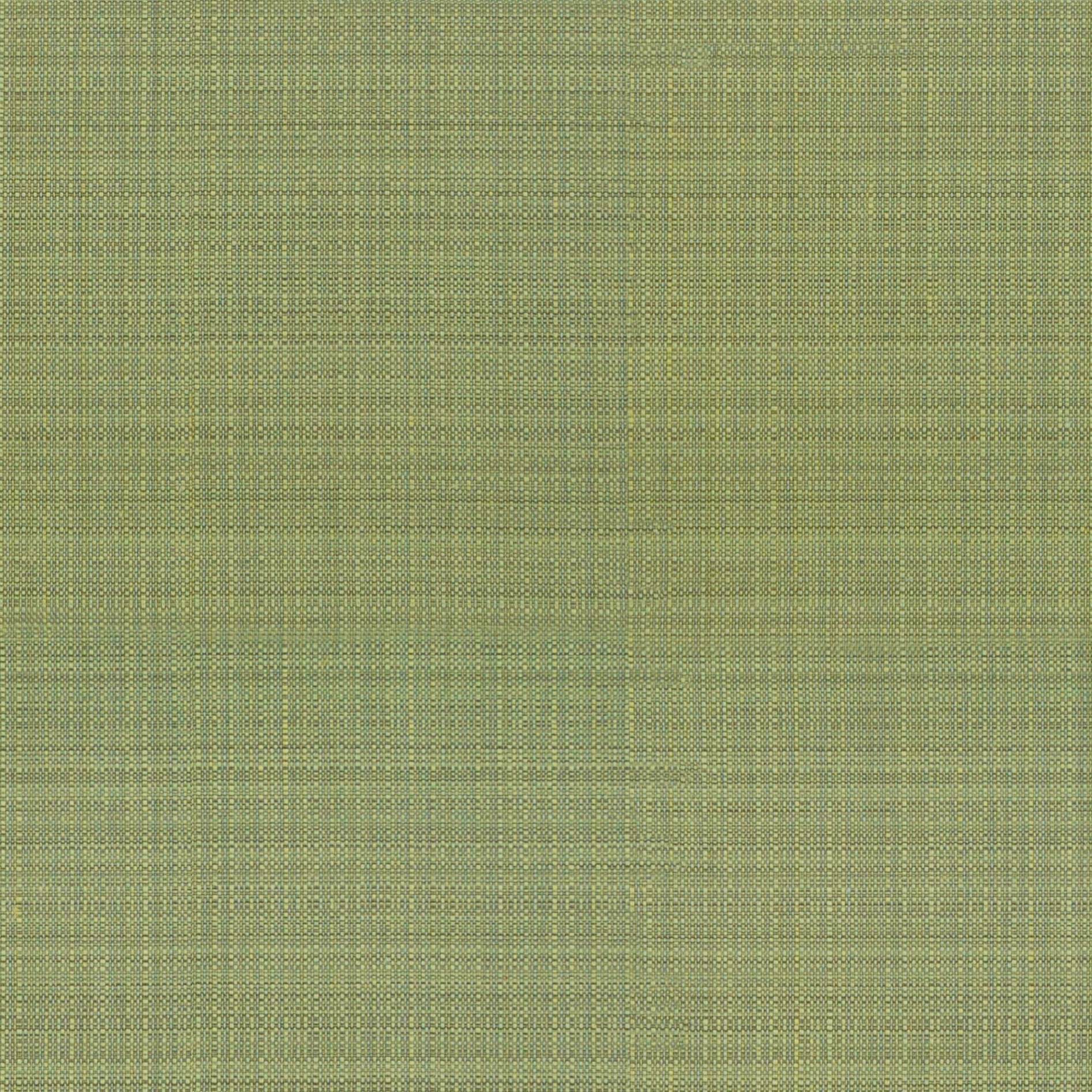 Bambù 614