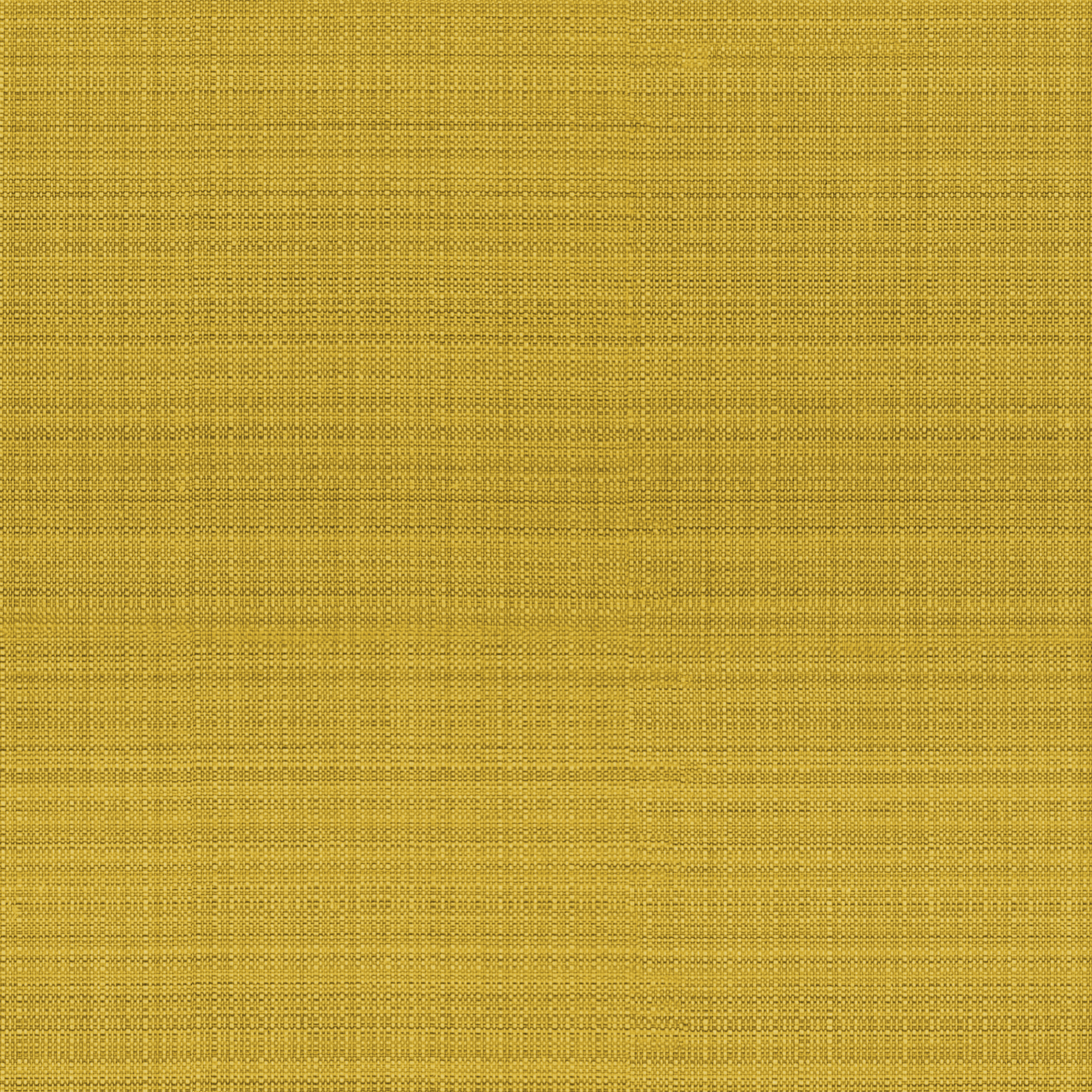 Bambù 624