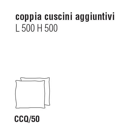 Coppia di Cuscini cm. 50 L. x 50 P.