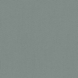 Canvas 956