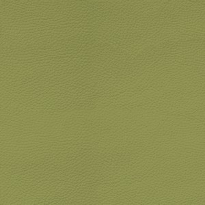 Greene 9108