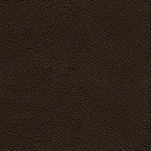 Ecopelle 9005