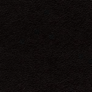 Ecopelle 9006