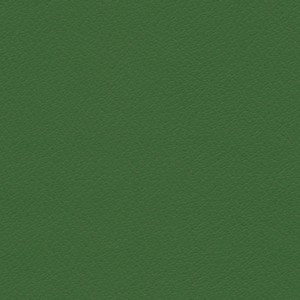 Plain Greene Ecopelle 9015