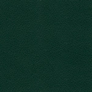 Plain Greene Ecopelle 9016