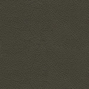 Plain Greene Ecopelle 9027