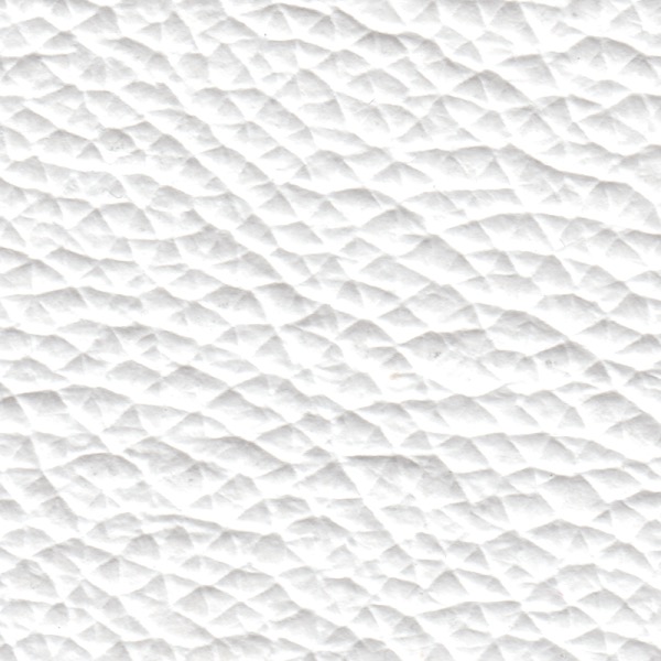 L01
