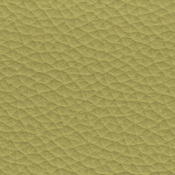 L11