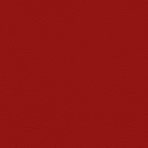 Pelle 0209