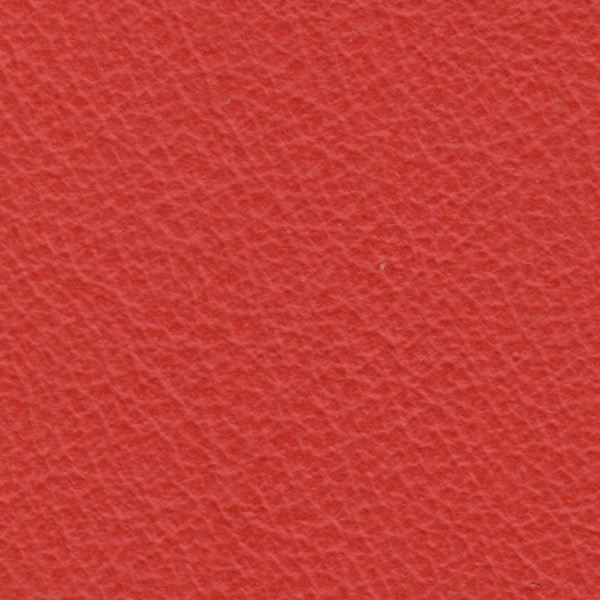 Pelle 0125