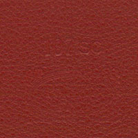 Pelle Sc. 107 Sanguigna