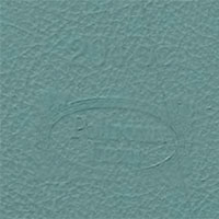 Pelle Sc. 204 Lichene