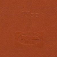 Pelle Sc. 75 Cognac