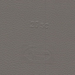 Pelle Sc. 26 Topo