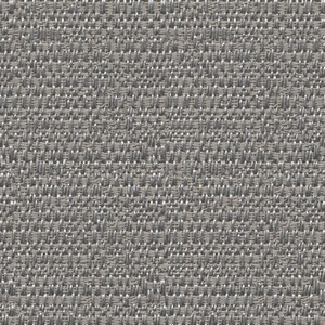 Shine 459