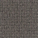 Tonus 613 Tortora