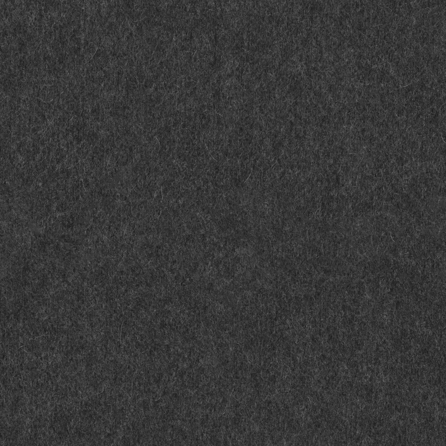 Cat. 5 – Warm