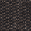 SQ2 Brown